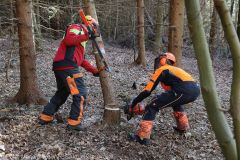 Kettensägen-Lehrgang Feuerwehr Günzburg am 19.02.2022 7