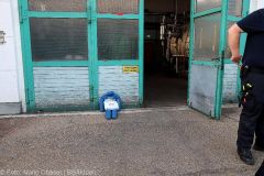 Rigdon Uebung Verpuffung 28072022 30